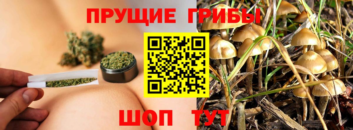 Галлюциногенные грибы Cubensis Мирный