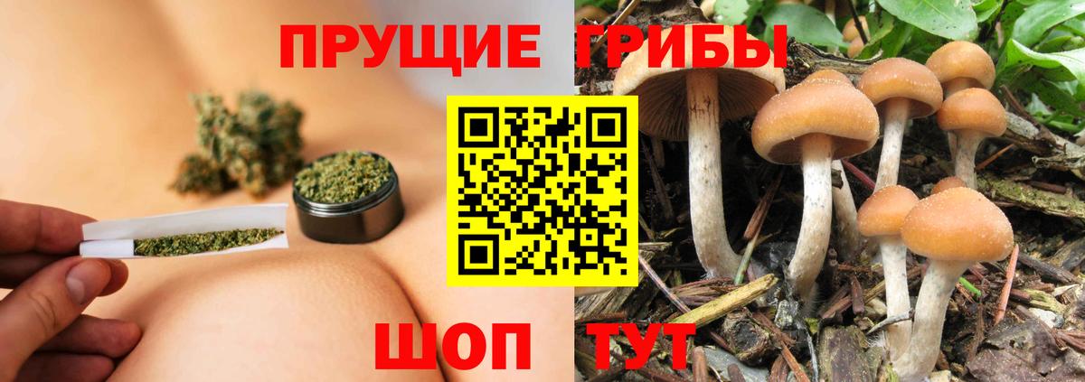 Псилоцибиновые грибы Magic Shrooms  Вход с VPN  Мирный 